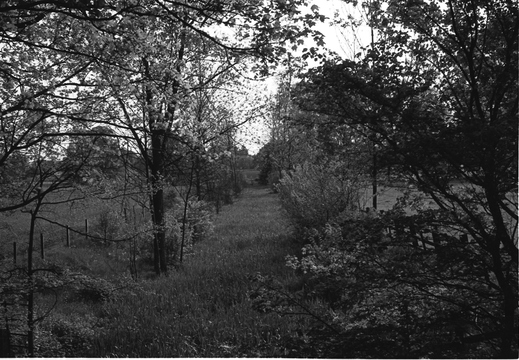 1.14 East Vale (271n)