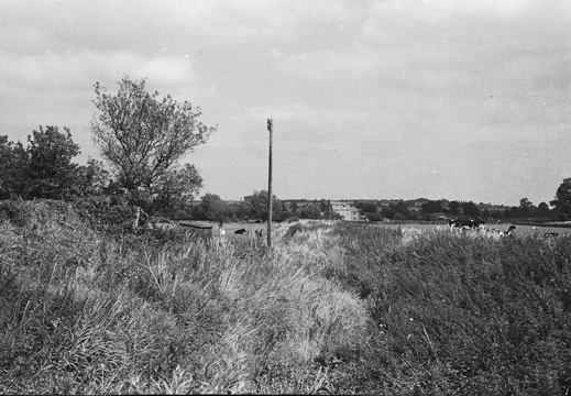 4.19 Swindon (517n)