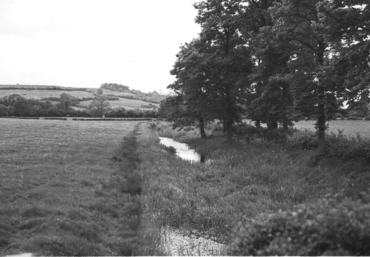 6.16.2 Foxham (630n)