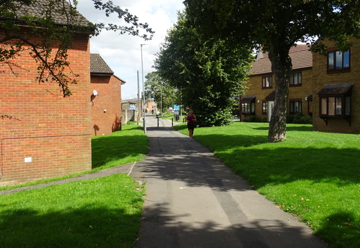 DSC01906