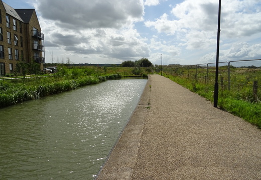 DSC01908