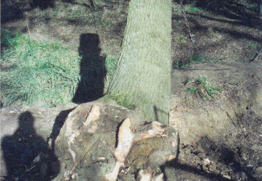2020 07 01 16 20 50