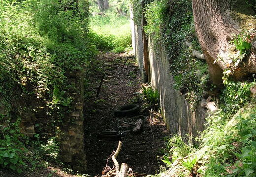 Pewsham3