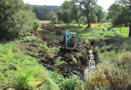 IMG 2202