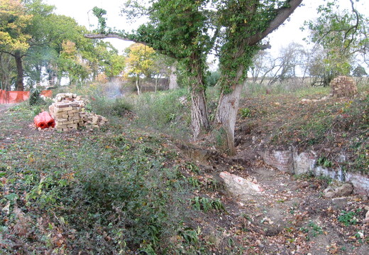 TopLock tree looking South - Oct 2003