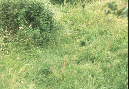 013 Lacock 926688 July 1977