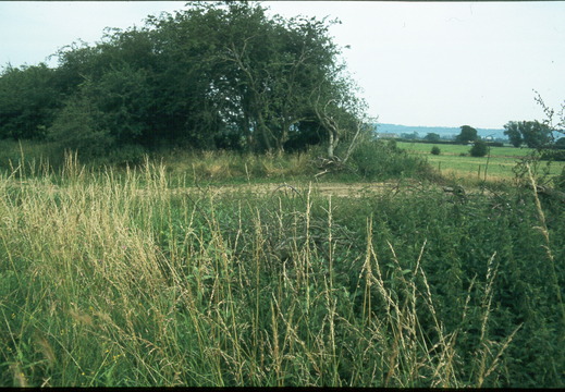 059 Bradleys pipes crossing Templar s Firs 1981