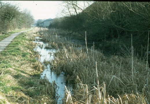 093 Kingshill Swindon spring 1978