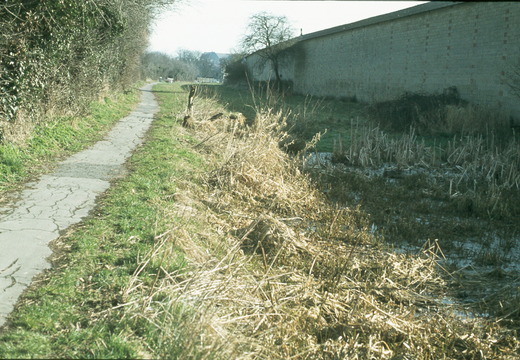 103 Kingshill spring 1978