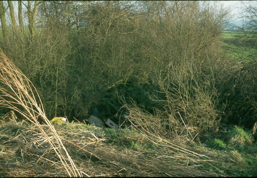 173 East from Uffington Arch Bridge spring 1982