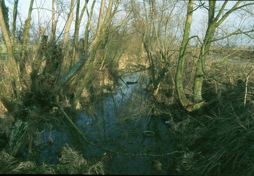 177 Looking east from West Challow Bridge spring 1982