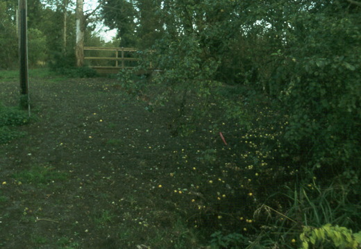 188 Kings Lift Bridge Autumn 1979