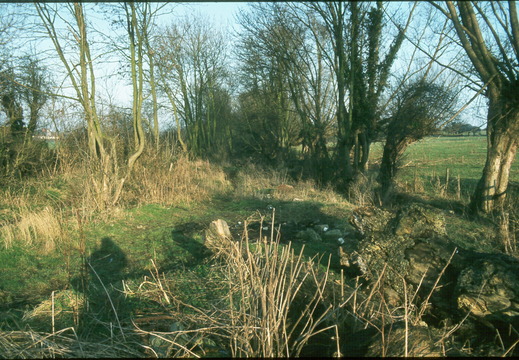 195 East Challow looking east spring 1982