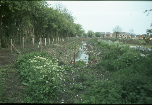 203 Settling Pond Wantage Arm 889396 June 1979