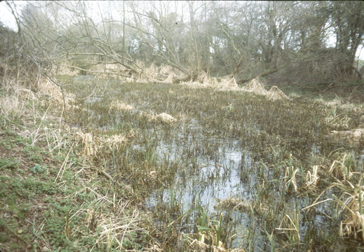208 Above LimeKiln Lock 1985