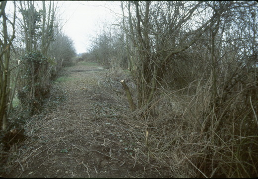 216 Canal bed near Grove Common Lock 1985