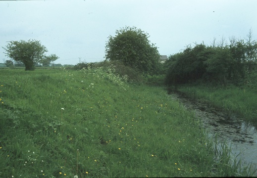256 Pry June 1979