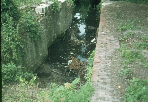 271 Calne Town Lock July 1978