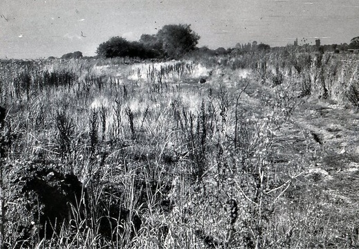 048691E (725 visits) Image credit: RCHS. 1964, Bed of canal now filled in looking over Drayton Moor from lock 1. 048691E