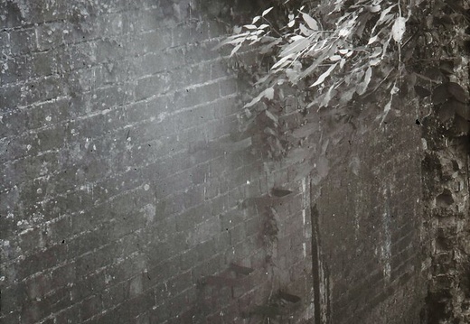 048688E (662 visits) Image credit: RCHS. 1964, Steps up wall tail, Steventon Lock. 048688E