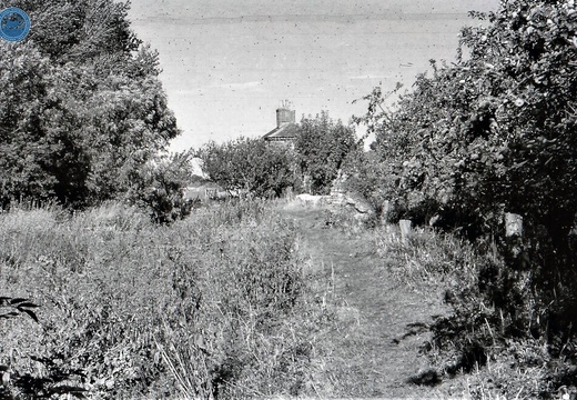 047554E (222 visits) Image credit: RCHS. 1964, Looking towards Latton Junction.
047554E