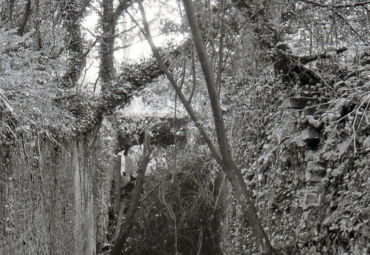 048635E (244 visits) Image credit: RCHS. 1964, Remains of Pewsham Top Lock. 048635E