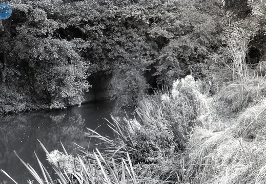 048657E (441 visits) Image credit: RCHS. 1964, Marden aqueduct, Stanley. 048657E