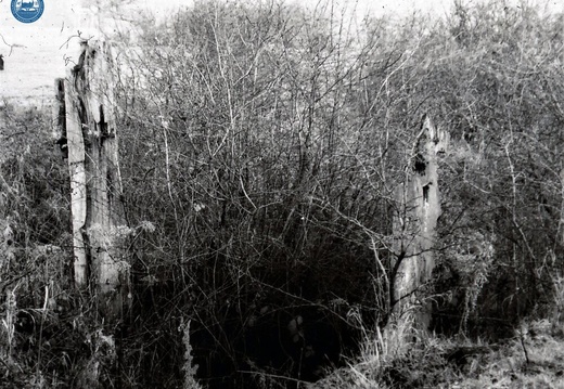 048631E (355 visits) Image credit: RCHS. 1962, Wootton Bassett Lock: remains of quion posts. Lock was turf-sided as was t... 048631E