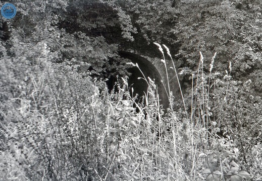 048666E (518 visits) Image credit: RCHS. 1964, Wootton Bassett Aqueduct, Greenhill Common. 048666E