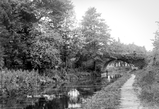 Tom Reveley WANVD: 2019.12.64