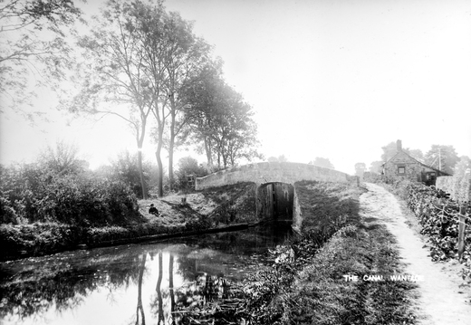 Tom Reveley WANVD: 2019.12.65