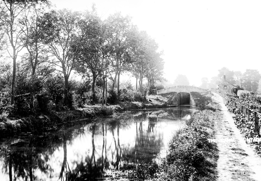 Tom Reveley WANVD: 2019.12.67