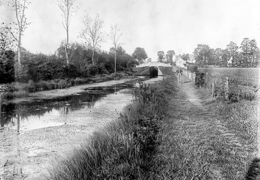 Tom Reveley WANVD: 2019.12.10