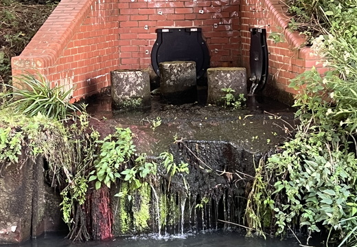 Drain