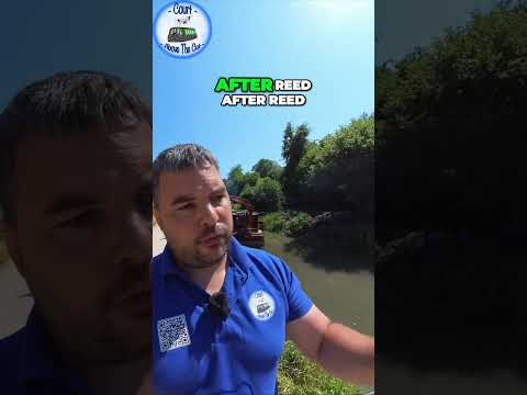 Unveiling the Hidden World of Reed pulling Season on Wilts and Berks Canal and the Cotswold Canals