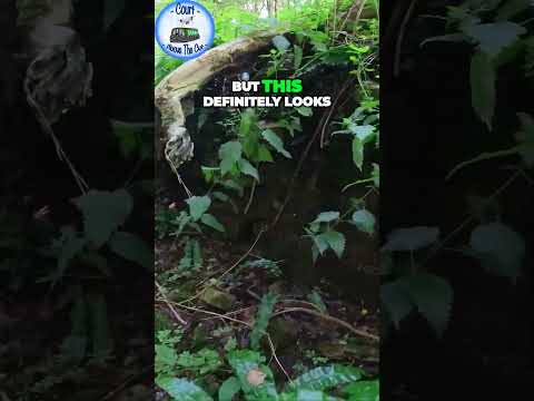 Uncovering the Surprising Size of a Cotswolds Lock in 360 Video!