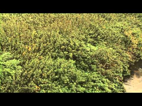 UK1109PT02 Jamie Info TV