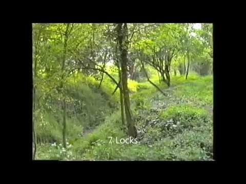 Wilts & Berks Canal 1989