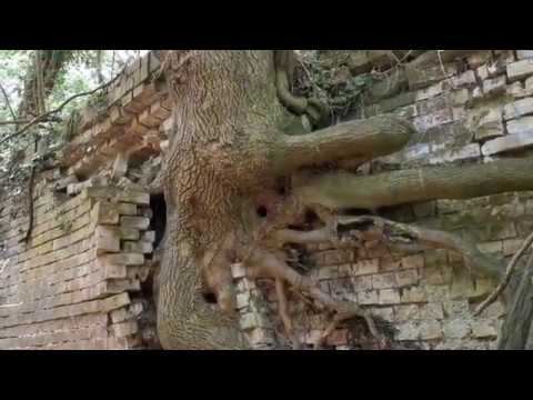 Are these the most abandoned Canal locks, in the UK?? We think so! Join the exploration adventure