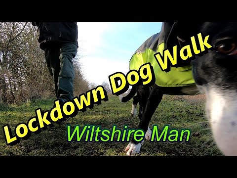 Exploring the Wilts and Berks Canal at Shrivenham with my dog