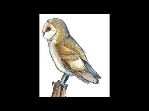 Wilts & Berks Canal  Audio Trail Studley Grange Wildlife Trail Royal Wootton Bassett