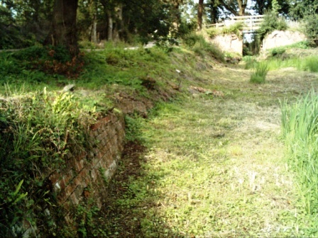 top lock