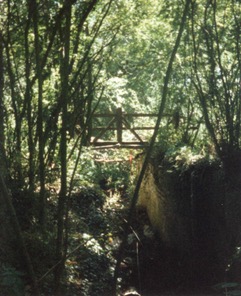 Pewsham Top Lock. Early 1990's