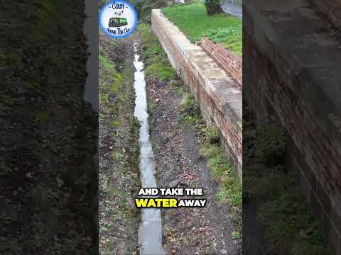 Discover the Secrets of an Old Lock Gate Join the Wilts and Berks Canal Trust! #UKCanals #Abandoned