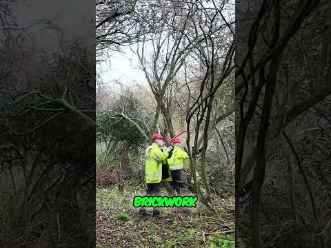 Revealing a Lost Canal Lock  Incredible Discovery! on the Wilts and Berks Canal