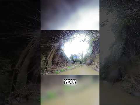 Exploring the Astonishing Aqueduct A Visual Journey #UKCanals #History #Aqueduct #Abandoned #URBEX