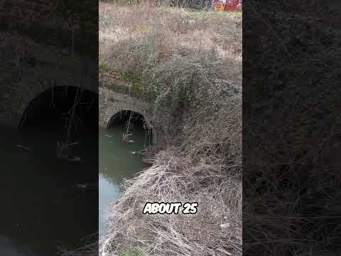 Wilts Berks Canal  Restoration & Community Space Update!