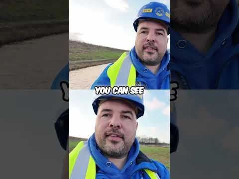 New Canal Habitat  Reeds, Trees, and Boat Navigation on the Wilts and Berks Canal